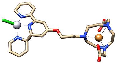 In vivo behavior of [64Cu]NOTA-terpyridine platinum, a novel chemo-radio-theranostic agent for imaging, and therapy of colorectal cancer